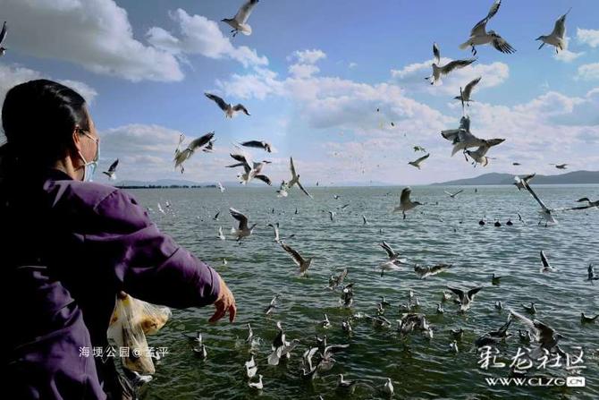 16412793764802966049402845020_5304