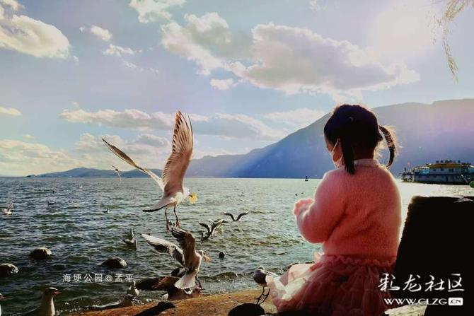 16412793765512911263858649245_5304