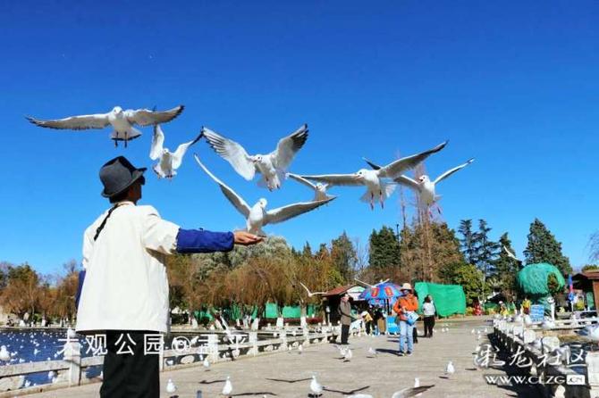 16416016736712933733944873347_5304 16416016736712933733944873347_5304