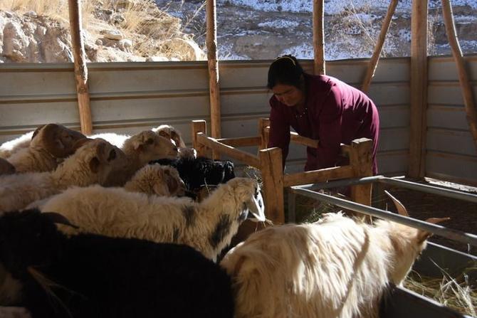 35bbbc14261044ac937169373829140c 35bbbc14261044ac937169373829140c