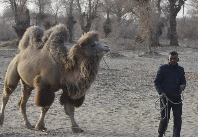 82550a7442b843bfad47edbd18398d4e 82550a7442b843bfad47edbd18398d4e