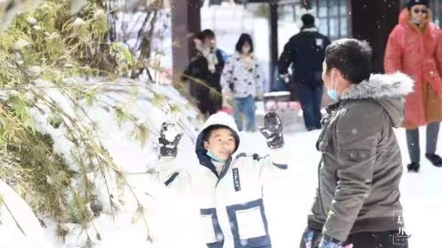 轎子雪山(開屏新聞記者王宇衡)