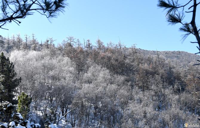 a3b275d1-bf00-4e93-93e3-ad3a982a1b06_batchwm a3b275d1-bf00-4e93-93e3-ad3a982a1b06_batchwm