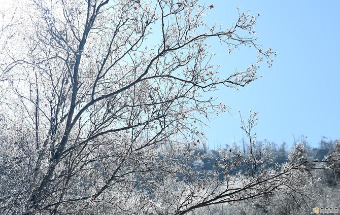 ef908761-352d-4c69-abbd-00289c2bc3bd_batchwm ef908761-352d-4c69-abbd-00289c2bc3bd_batchwm