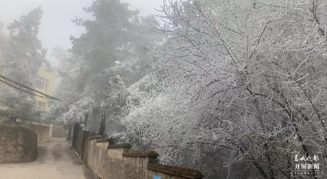 640 (1).webp (4) 640 (1).webp (4)