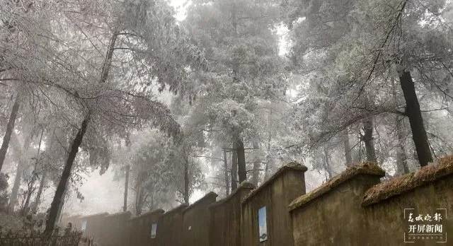 640 (1).webp (5) 640 (1).webp (5)