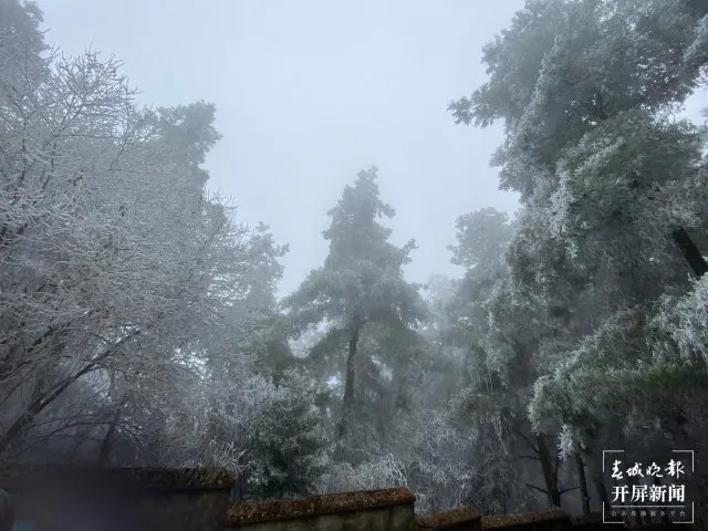 640 (1).webp (7) 640 (1).webp (7)