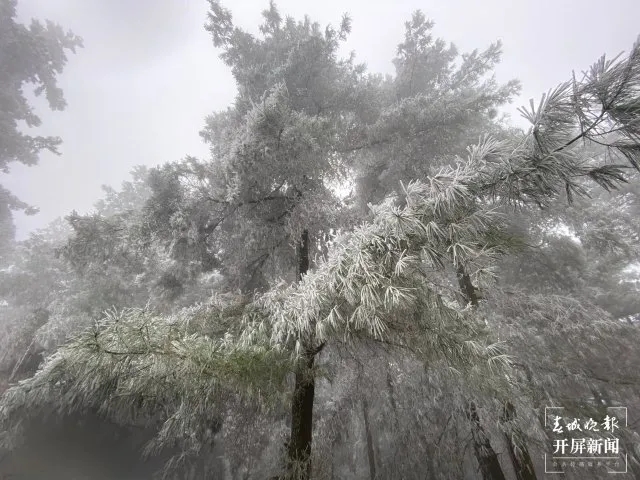 640 (1).webp (9) 640 (1).webp (9)