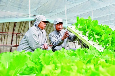 在高質(zhì)量發(fā)展中促進(jìn)共同富裕