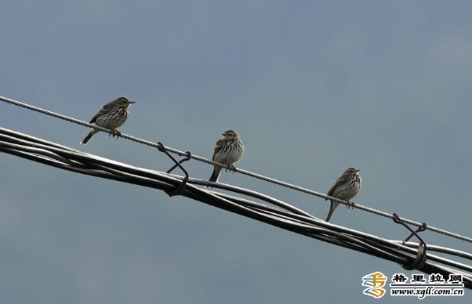 b80c99a5-002d-4fd5-98ac-0a462124916b_batchwm