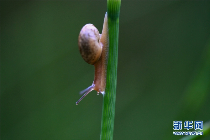 1310615330_16545076554631n