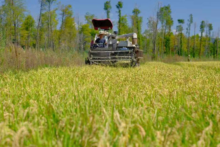 微信圖片_20221007111516 微信圖片_20221007111516