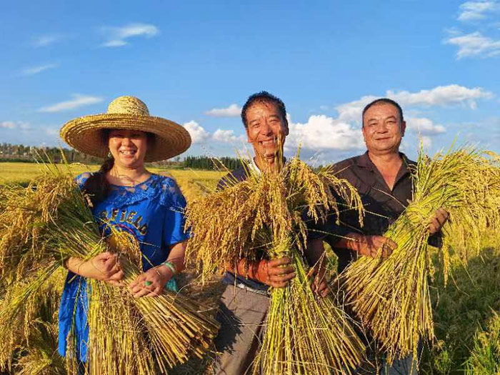 微信圖片_20221007111508 微信圖片_20221007111508