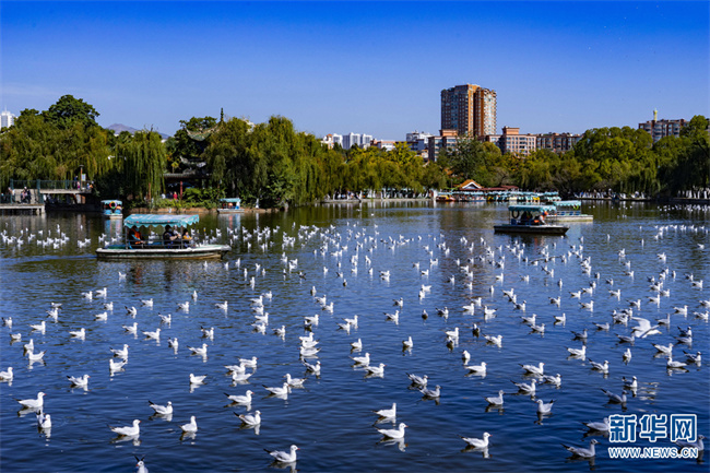 1310676520_16684727759381n