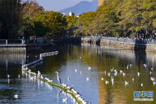 1310676520_16684727763251n