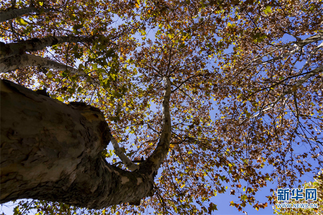 1310676520_16684727767271n