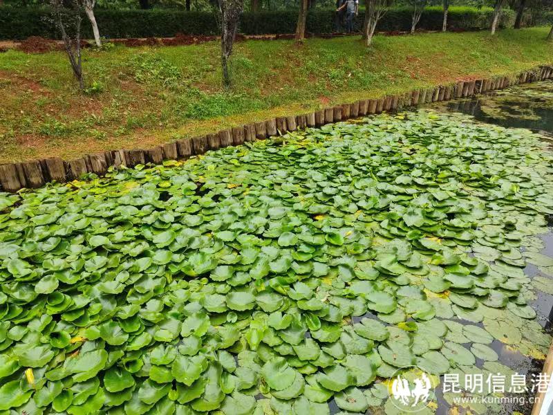 微信圖片_20231117152254 微信圖片_20231117152254