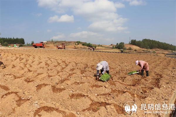 微信圖片_20240508162038