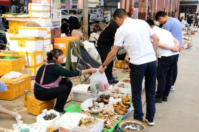 云南木水花野生菌市場菌飄香（圖源 云新聞）