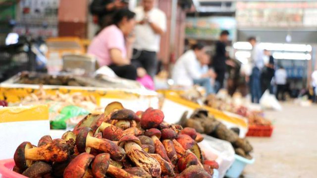 云南木水花野生菌市場菌飄香（圖源 云新聞）