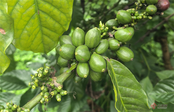 00306328730_41e6b556