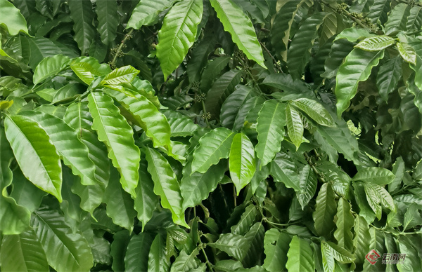 00306328746_adaa5add