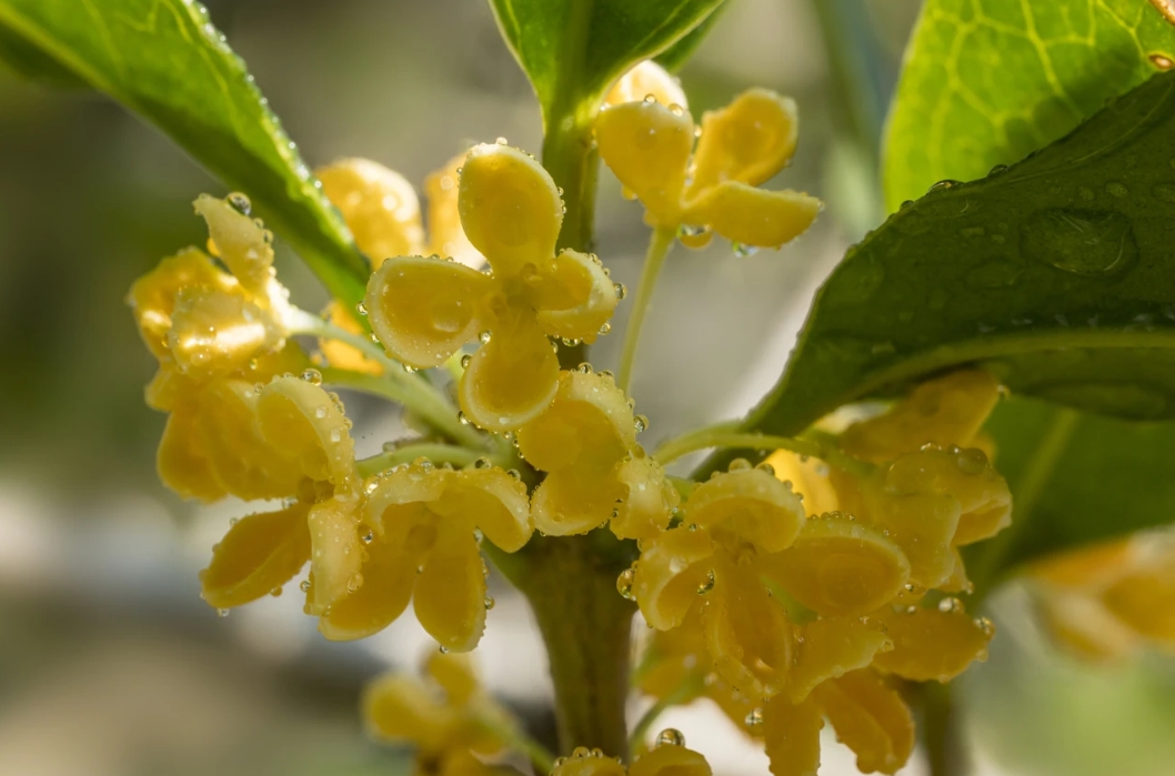 1728363842908780.jpg 2.jpg