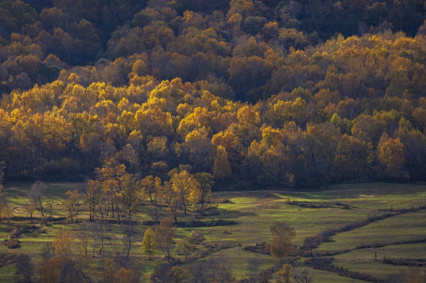 1728363850284418.jpg 4.jpg