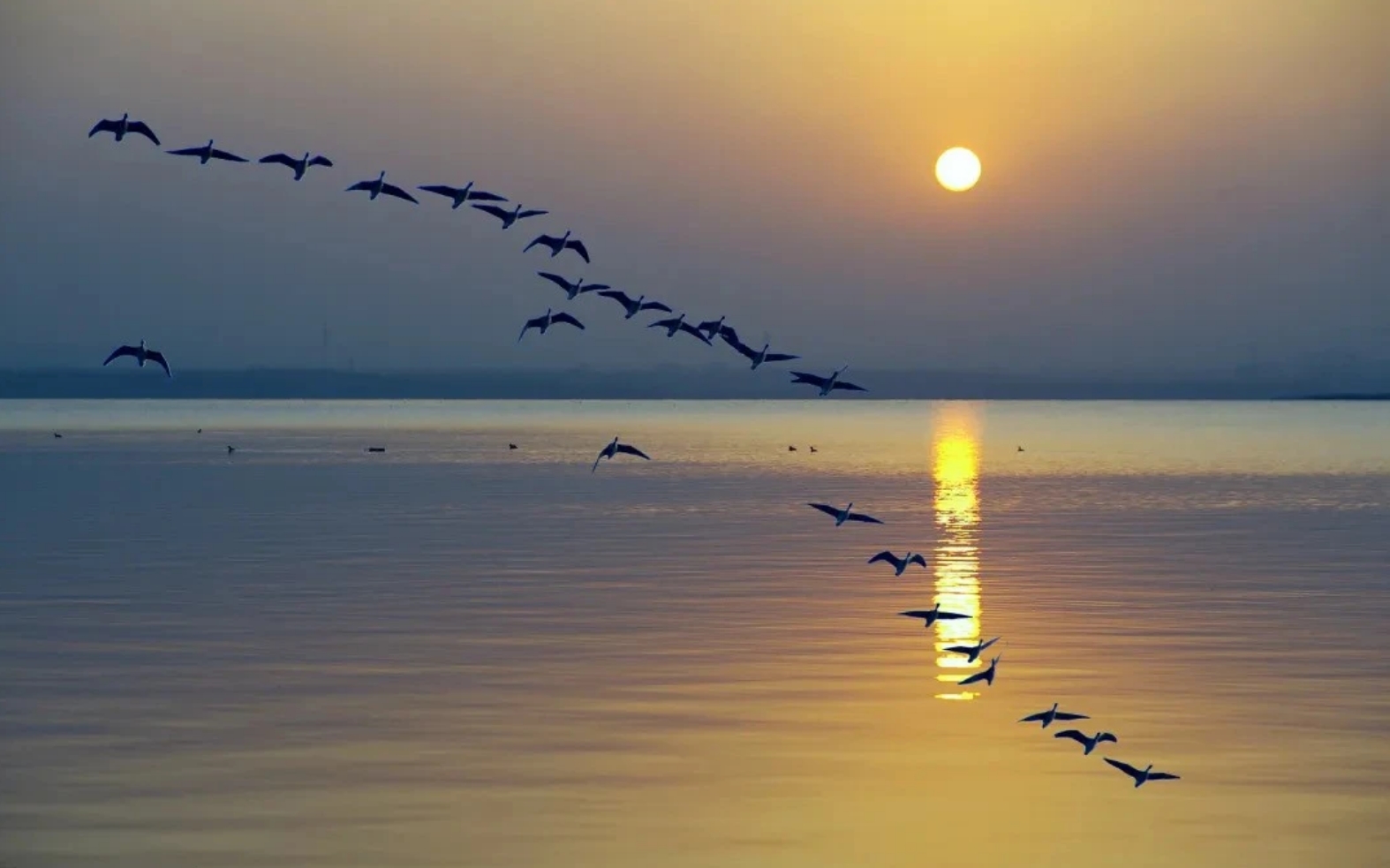 1728363857690311.jpg 6.jpg