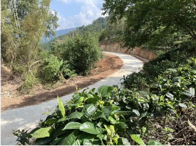 1737080429814615.png 微信截圖_20250117102008.png