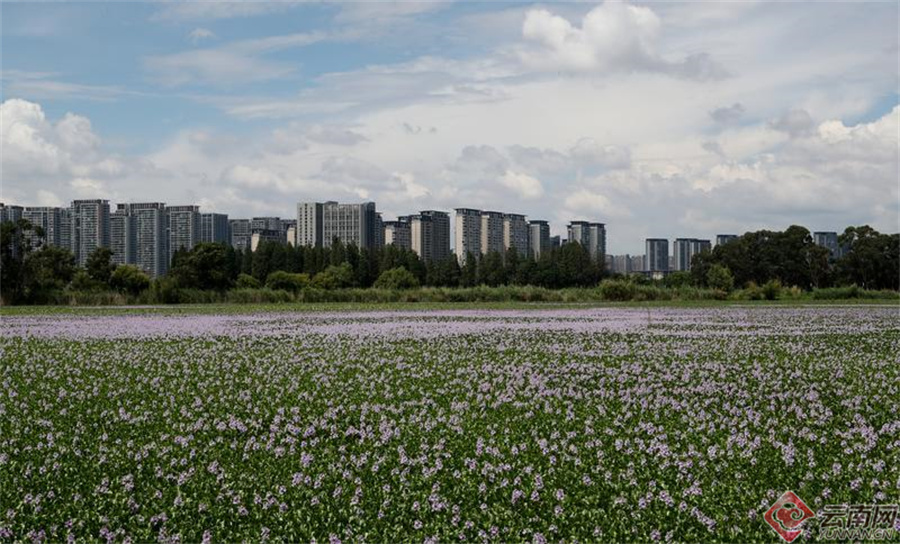 00307190381_c336509d 00307190381_c336509d