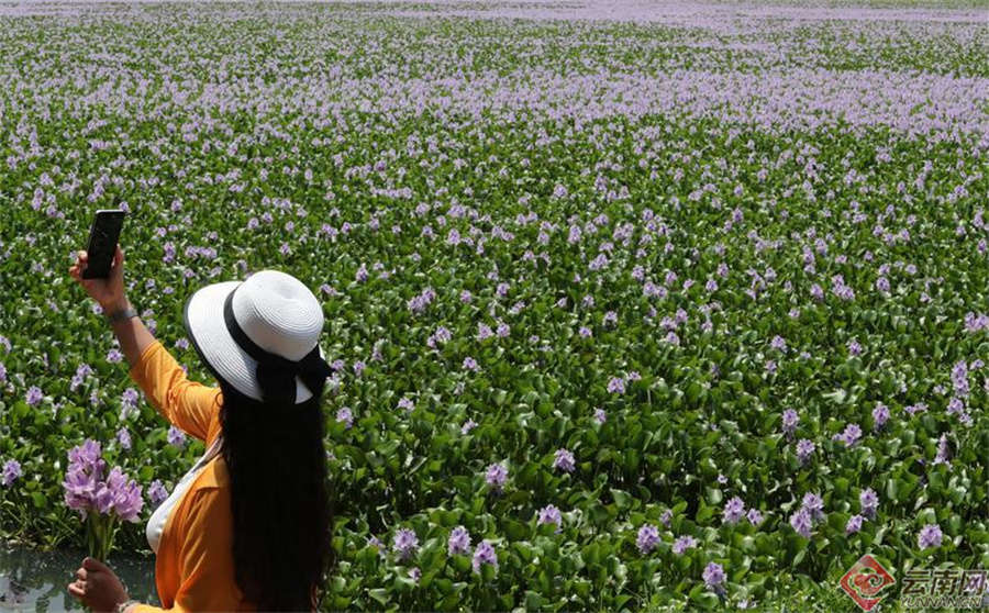 00307190382_9736dacc 00307190382_9736dacc