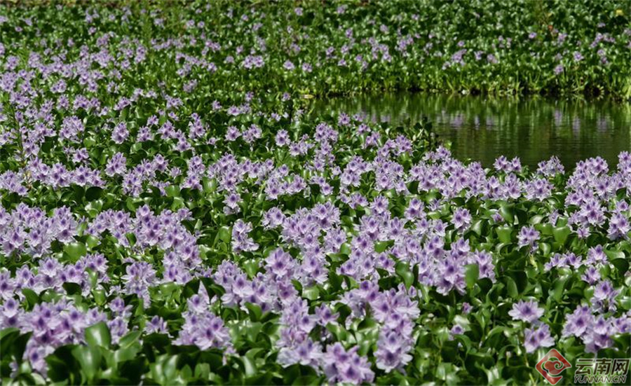 00307190387_8fa2a283 00307190387_8fa2a283