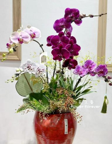 微信圖片_20260217102142_31_42