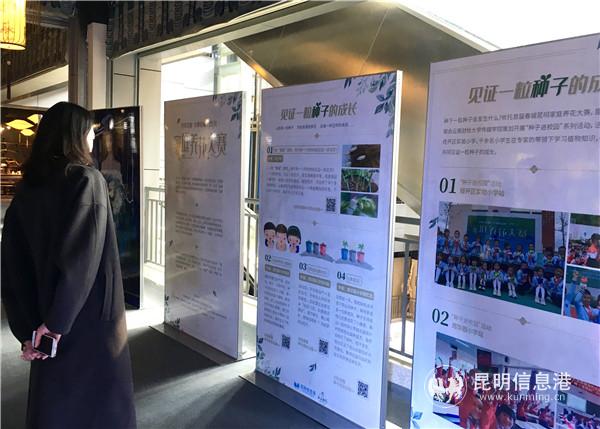 首屆春城昆明家庭養(yǎng)花大賽作品展