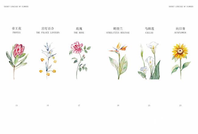 速視覺團(tuán)隊(duì)“采花集”繪本 (3) 速視覺團(tuán)隊(duì)“采花集”繪本 (3)