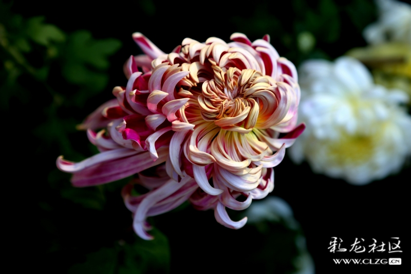 微信圖片_20220929094640 微信圖片_20220929094640