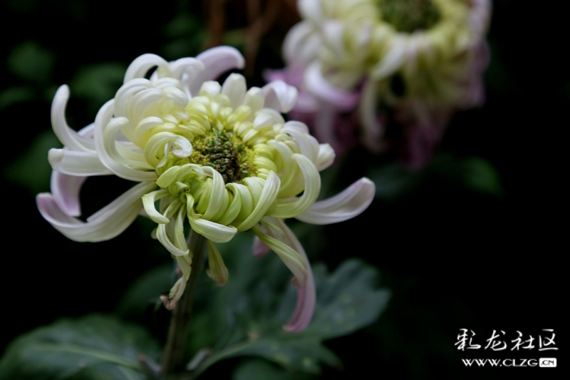 微信圖片_202209290946401