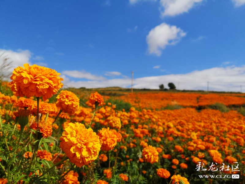 微信圖片_2022092909464010