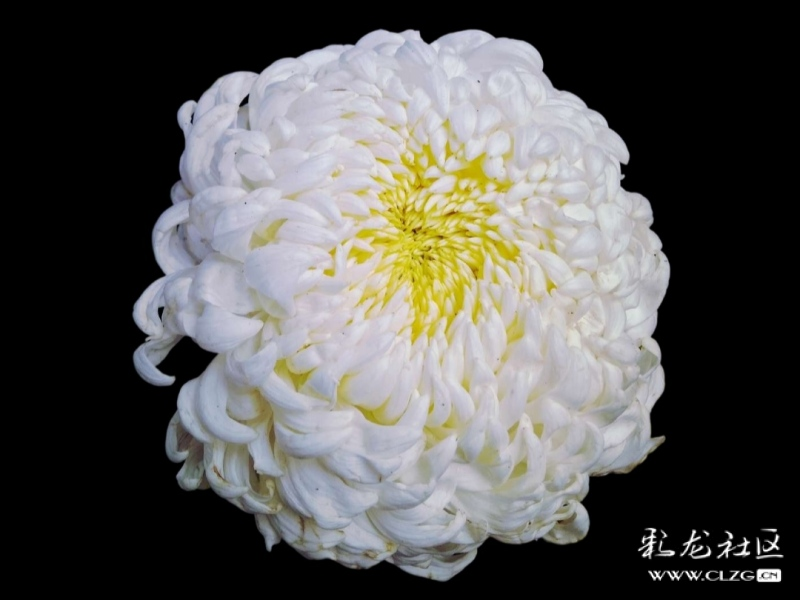 微信圖片_202209290946406