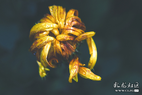 微信圖片_202209290946405 微信圖片_202209290946405