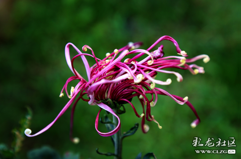 微信圖片_202209290946403 微信圖片_202209290946403