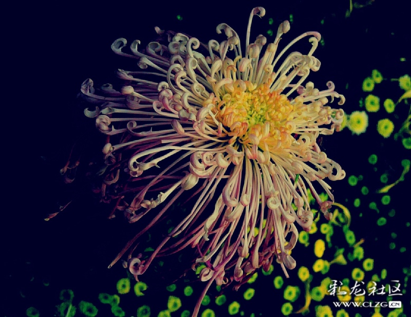 微信圖片_202209290946409